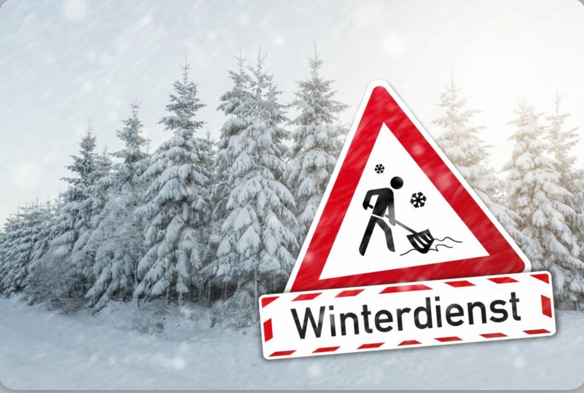 Spezialreinigung Winterdienst